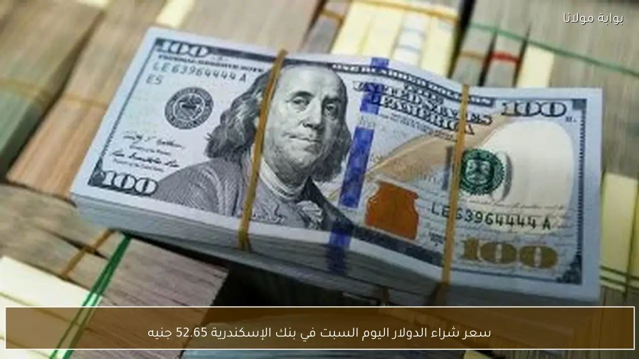 سعر شراء الدولار اليوم السبت في بنك الإسكندرية 52.65 جنيه