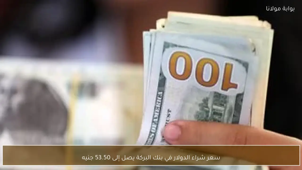 سعر شراء الدولار في بنك البركة يصل إلى 53.50 جنيه
