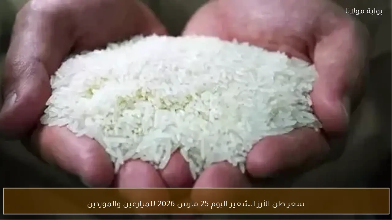 سعر طن الأرز الشعير اليوم 25 مارس 2026 للمزارعين والموردين