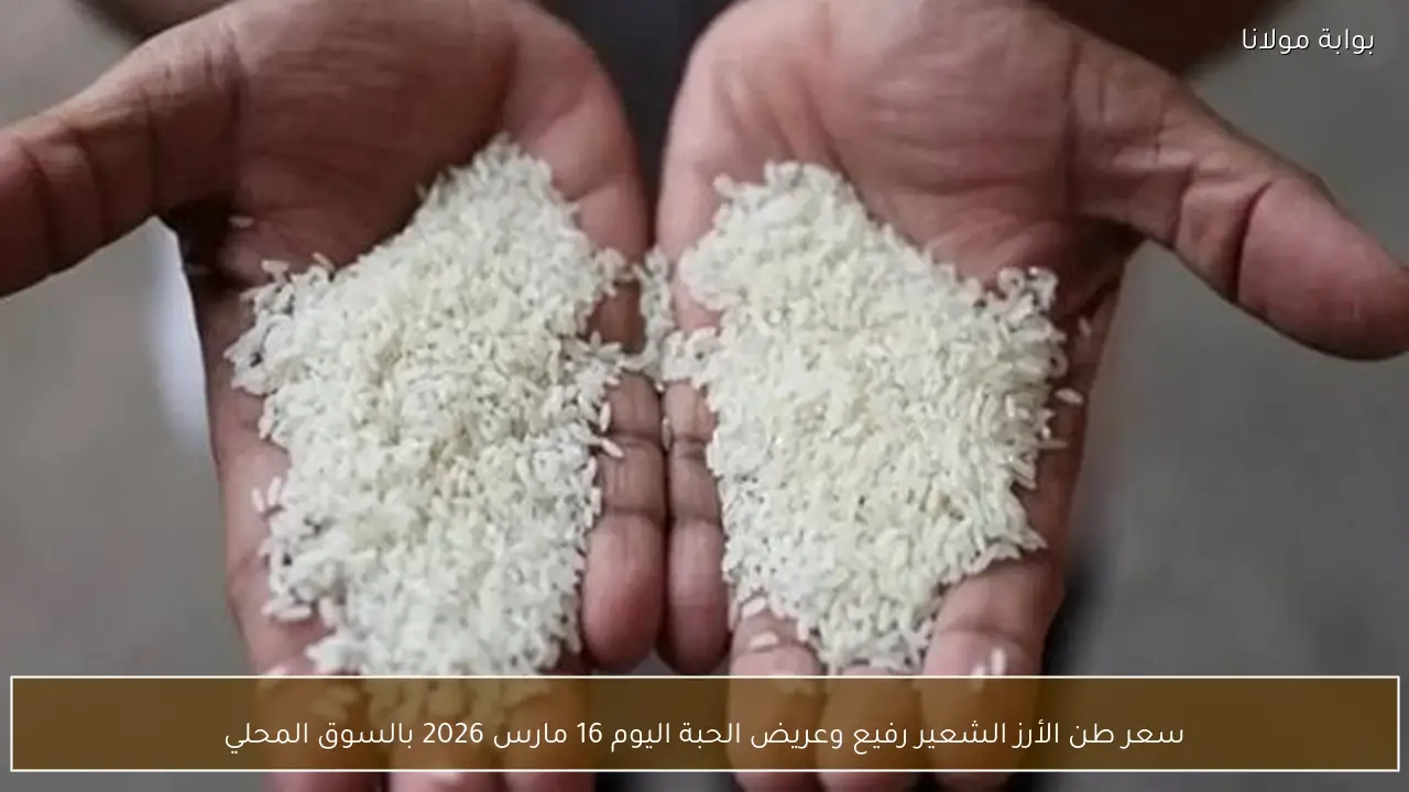 سعر طن الأرز الشعير رفيع وعريض الحبة اليوم 16 مارس 2026 بالسوق المحلي