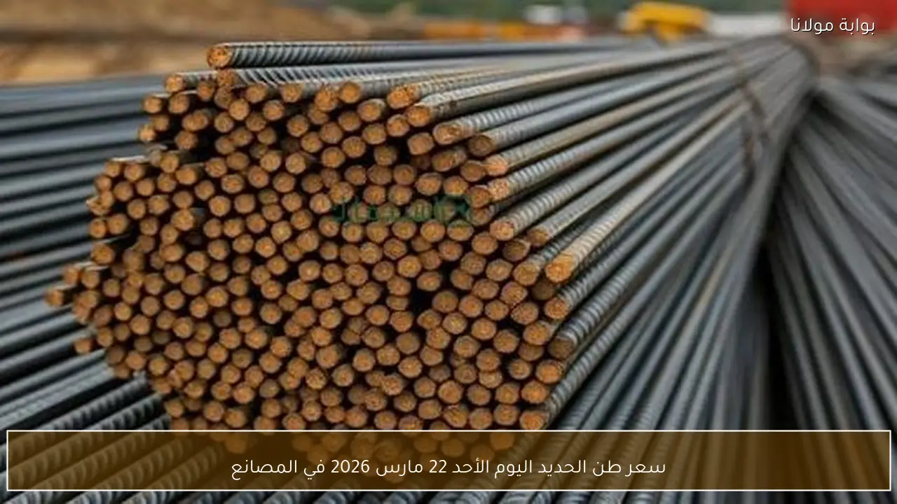 سعر طن الحديد اليوم الأحد 22 مارس 2026 في المصانع