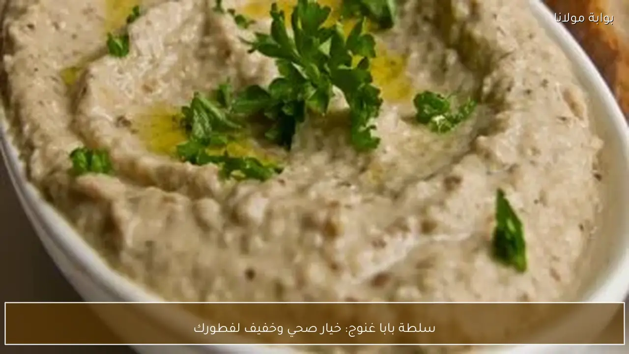 سلطة بابا غنوج: خيار صحي وخفيف لفطورك