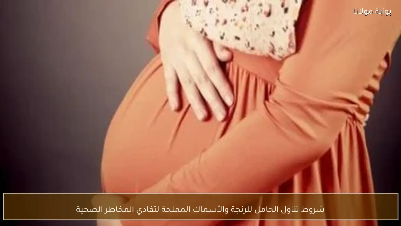 شروط تناول الحامل للرنجة والأسماك المملحة لتفادي المخاطر الصحية