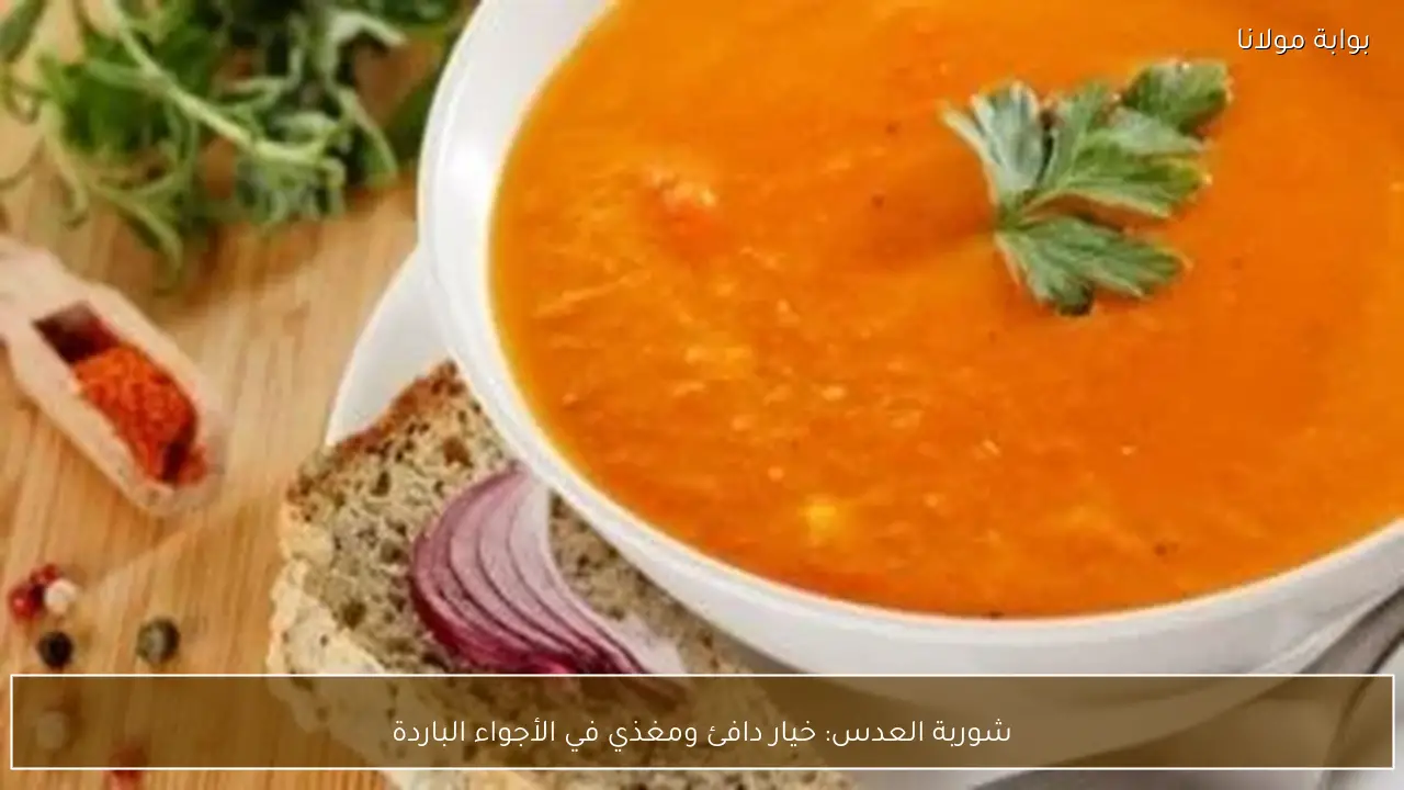 شوربة العدس: خيار دافئ ومغذي في الأجواء الباردة