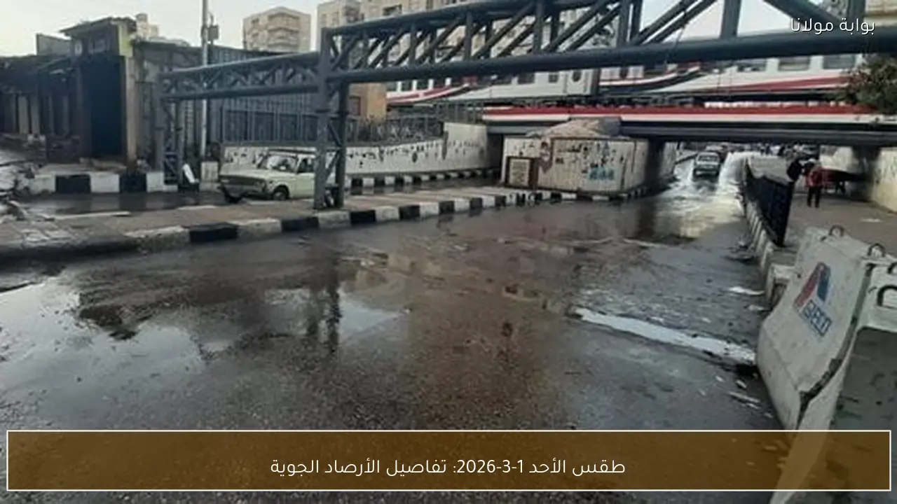 طقس الأحد 1-3-2026: تفاصيل الأرصاد الجوية