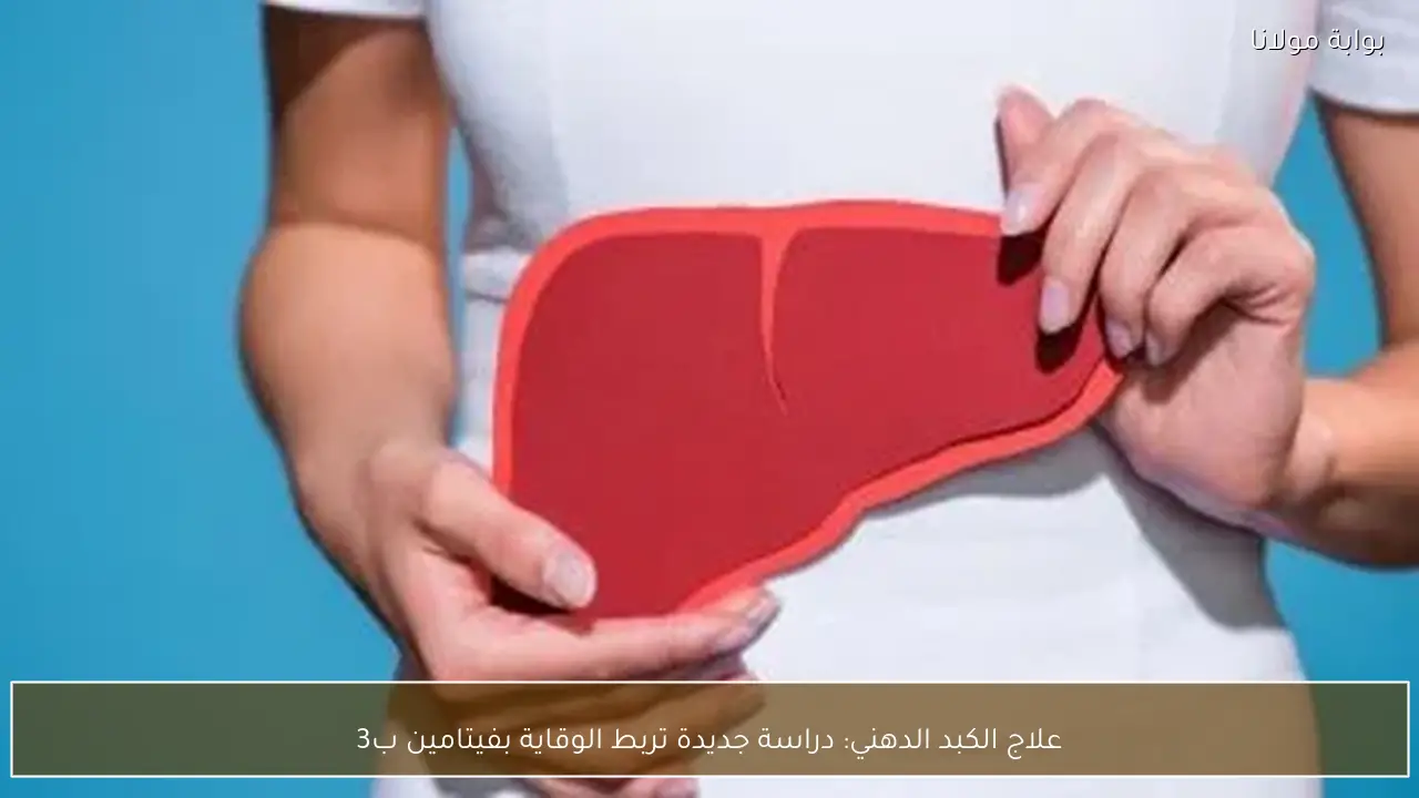 علاج الكبد الدهني: دراسة جديدة تربط الوقاية بفيتامين ب3