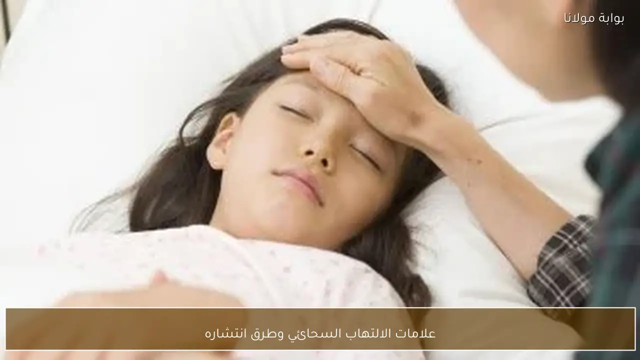 علامات الالتهاب السحائي وطرق انتشاره