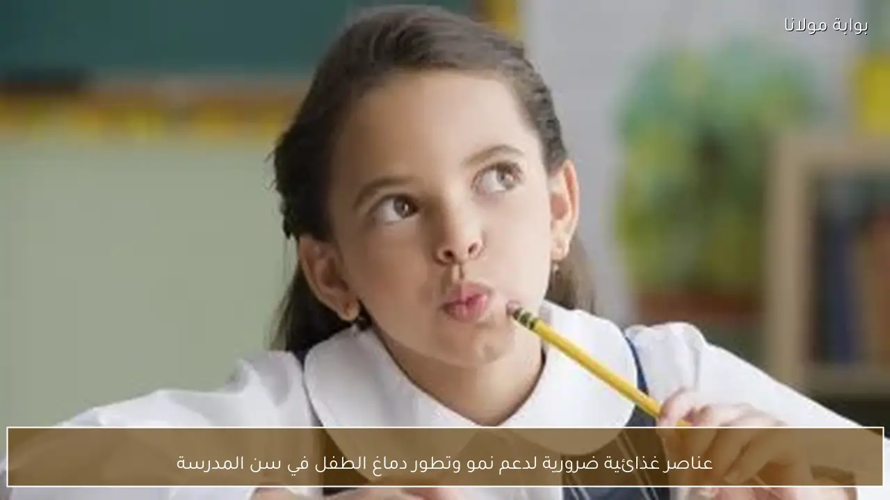 عناصر غذائية ضرورية لدعم نمو وتطور دماغ الطفل في سن المدرسة