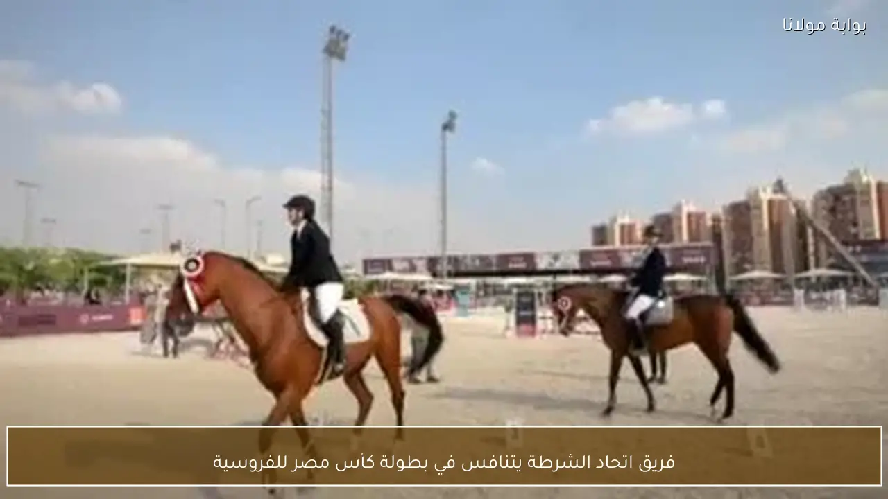 فريق اتحاد الشرطة يتنافس في بطولة كأس مصر للفروسية