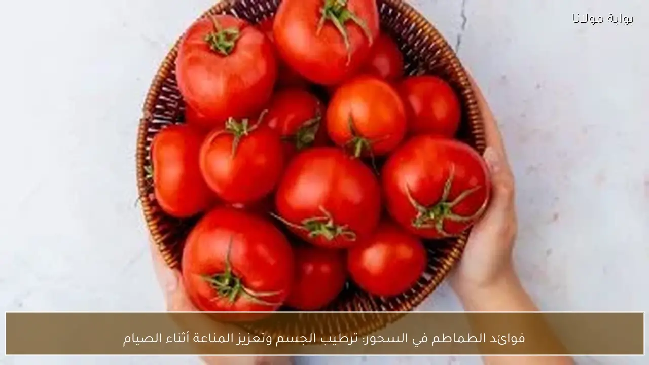 فوائد الطماطم في السحور: ترطيب الجسم وتعزيز المناعة أثناء الصيام