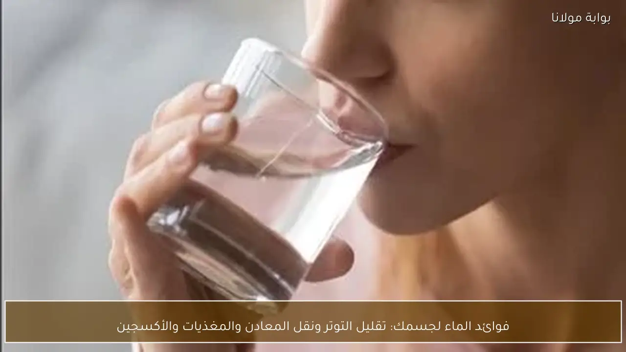 فوائد الماء لجسمك: تقليل التوتر ونقل المعادن والمغذيات والأكسجين