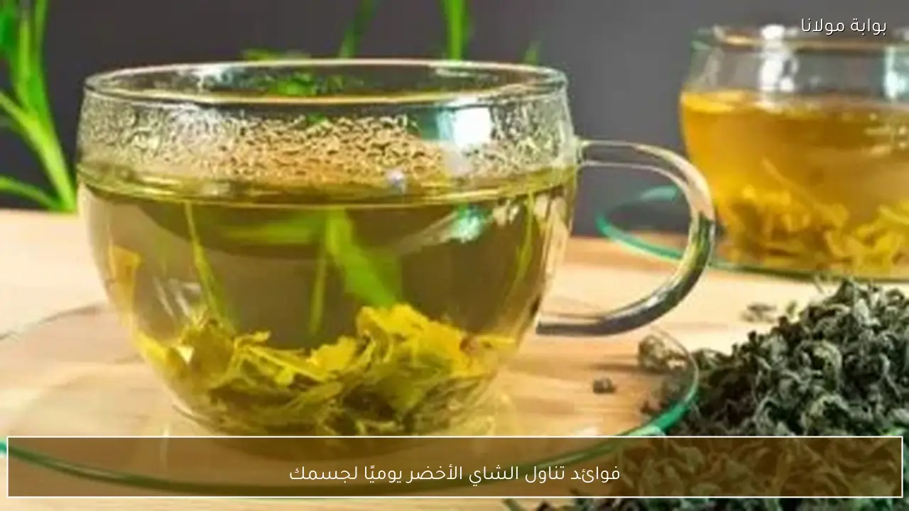 فوائد تناول الشاي الأخضر يوميًا لجسمك