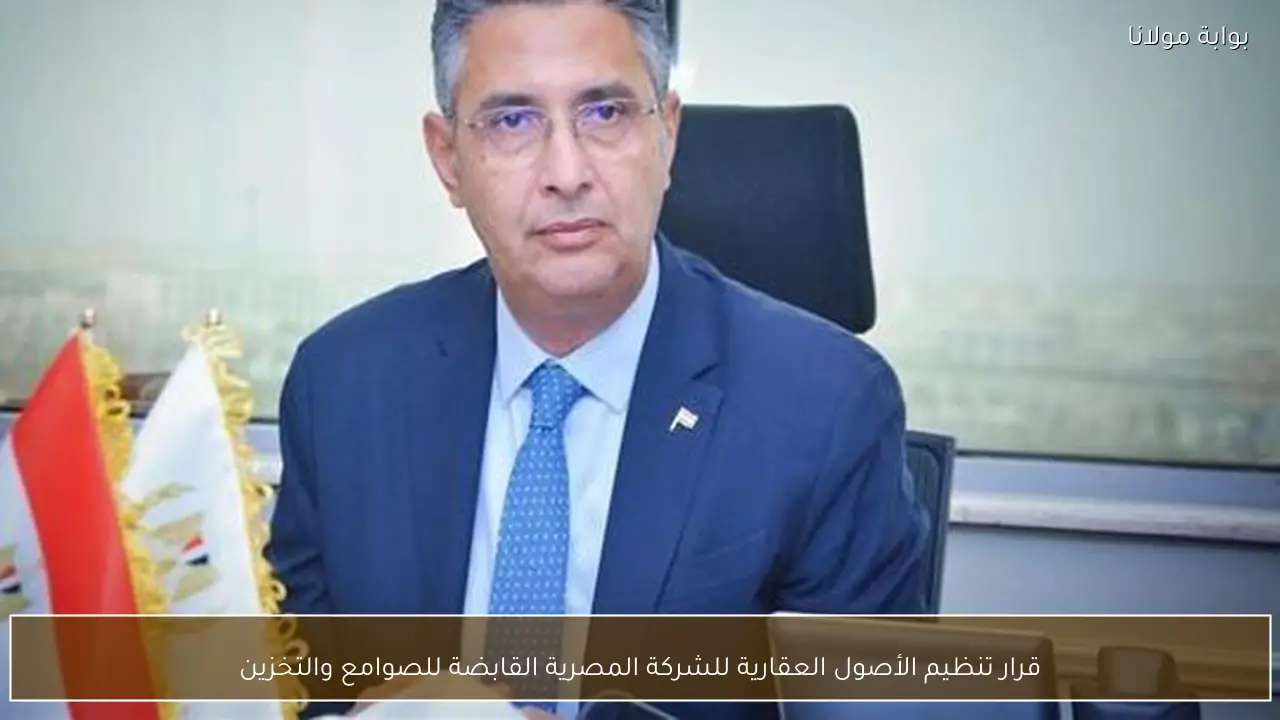 قرار تنظيم الأصول العقارية للشركة المصرية القابضة للصوامع والتخزين