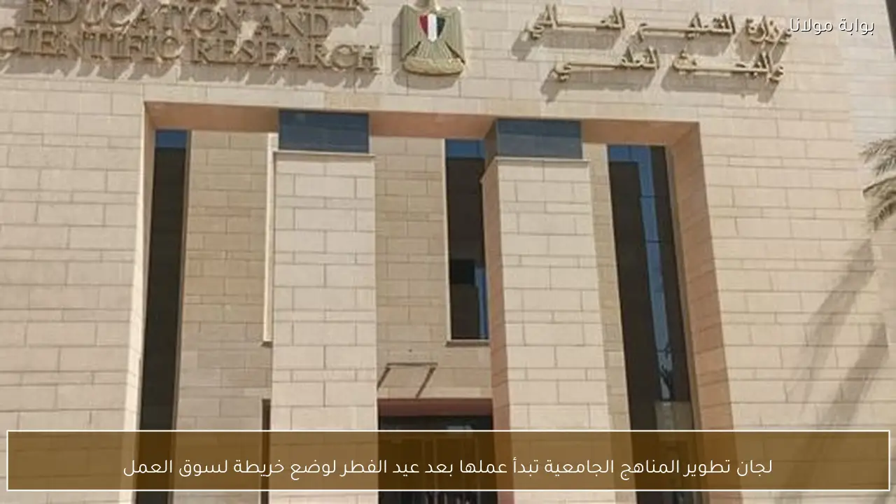 لجان تطوير المناهج الجامعية تبدأ عملها بعد عيد الفطر لوضع خريطة لسوق العمل