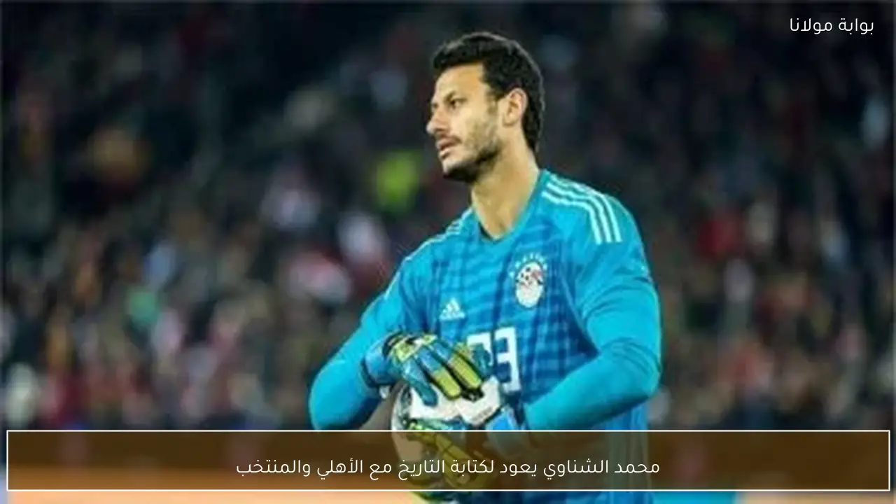 محمد الشناوي يعود لكتابة التاريخ مع الأهلي والمنتخب