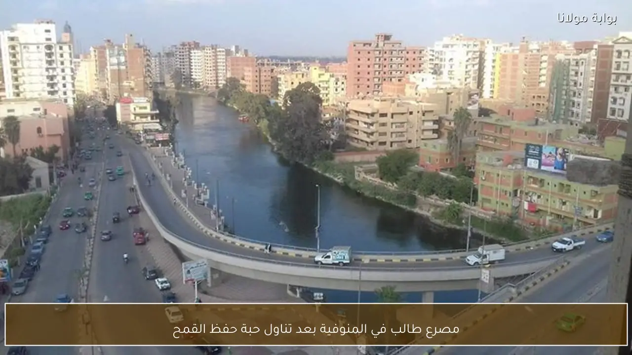 مصرع طالب في المنوفية بعد تناول حبة حفظ القمح