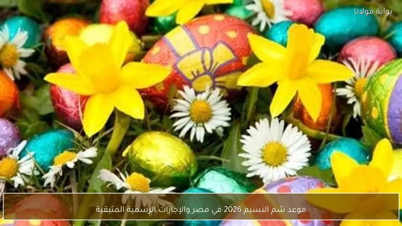 موعد شم النسيم 2026 في مصر والإجازات الرسمية المتبقية