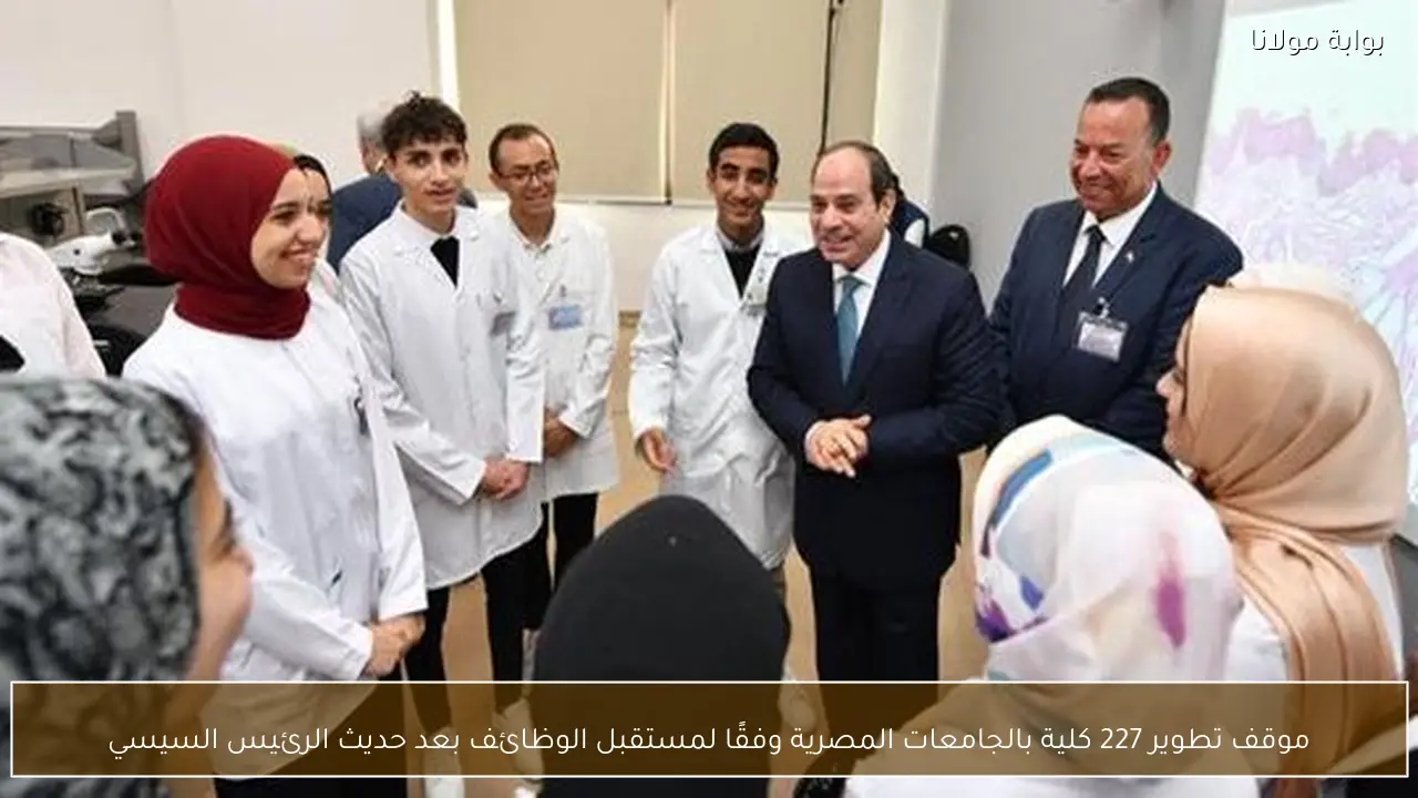 موقف تطوير 227 كلية بالجامعات المصرية وفقًا لمستقبل الوظائف بعد حديث الرئيس السيسي