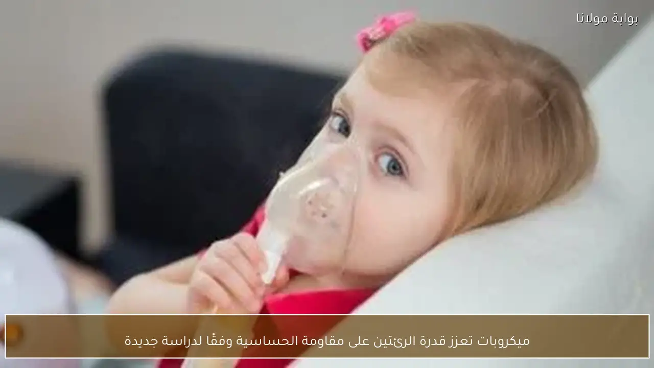 ميكروبات تعزز قدرة الرئتين على مقاومة الحساسية وفقًا لدراسة جديدة