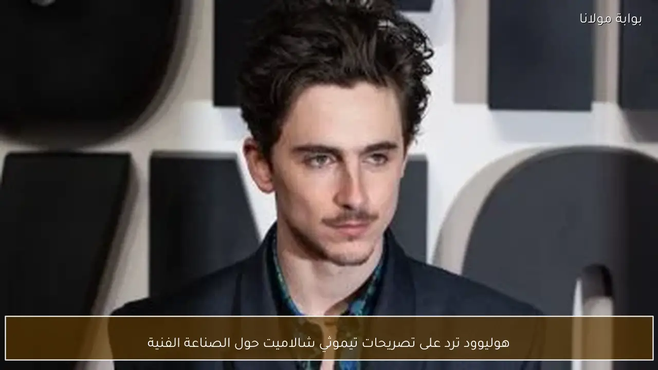 هوليوود ترد على تصريحات تيموثي شالاميت حول الصناعة الفنية