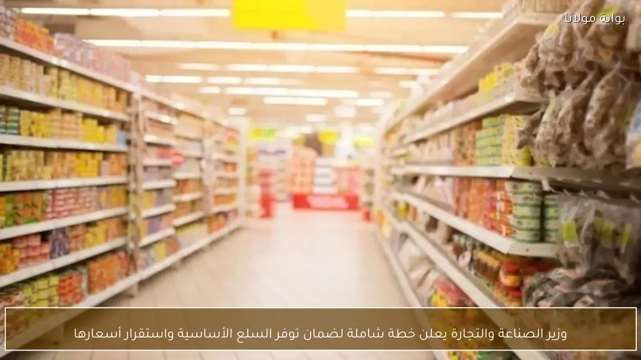 وزير الصناعة والتجارة يعلن خطة شاملة لضمان توفر السلع الأساسية واستقرار أسعارها