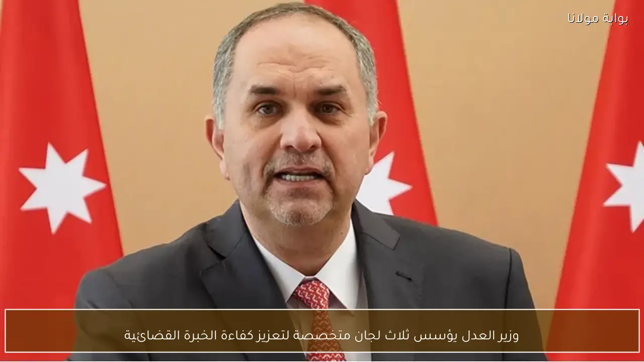 وزير العدل يؤسس ثلاث لجان متخصصة لتعزيز كفاءة الخبرة القضائية