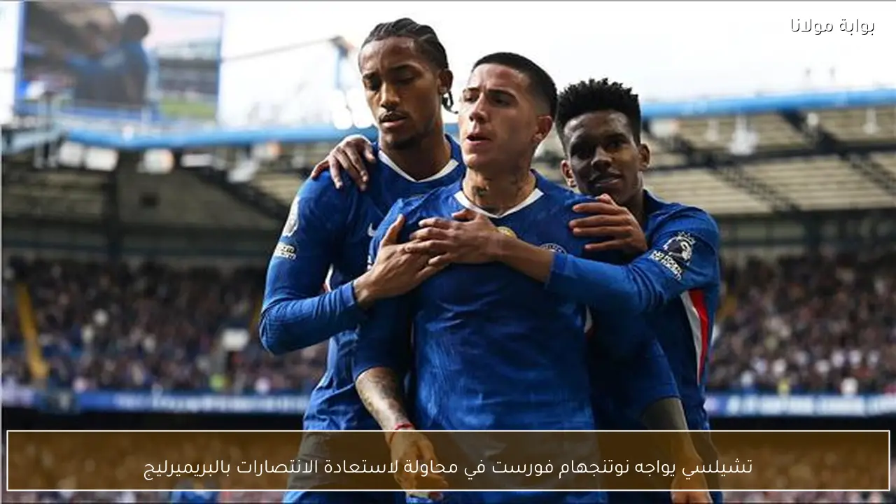 تشيلسي يواجه نوتنجهام فورست في محاولة لاستعادة الانتصارات بالبريميرليج